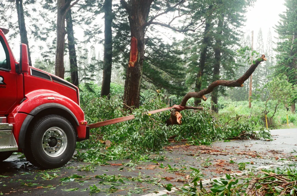 Truck crew clearing a fallen tree limb from a road after a storm