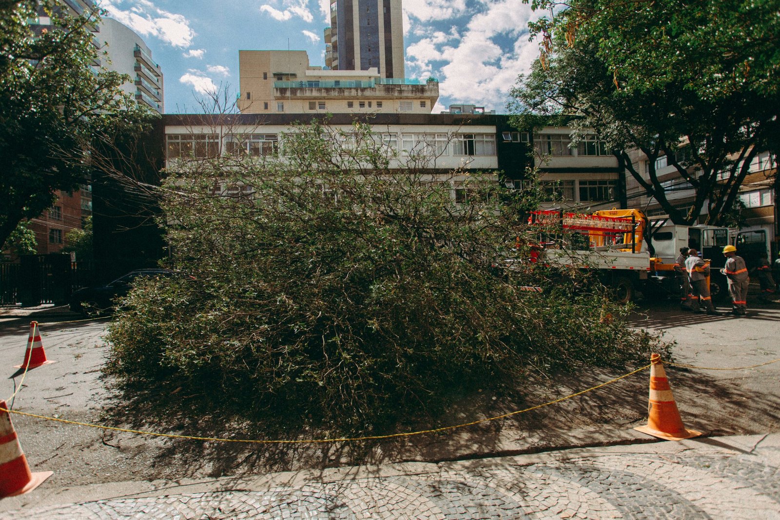 A fallen tree blocking a street after a storm, with a cleanup crew working nearby